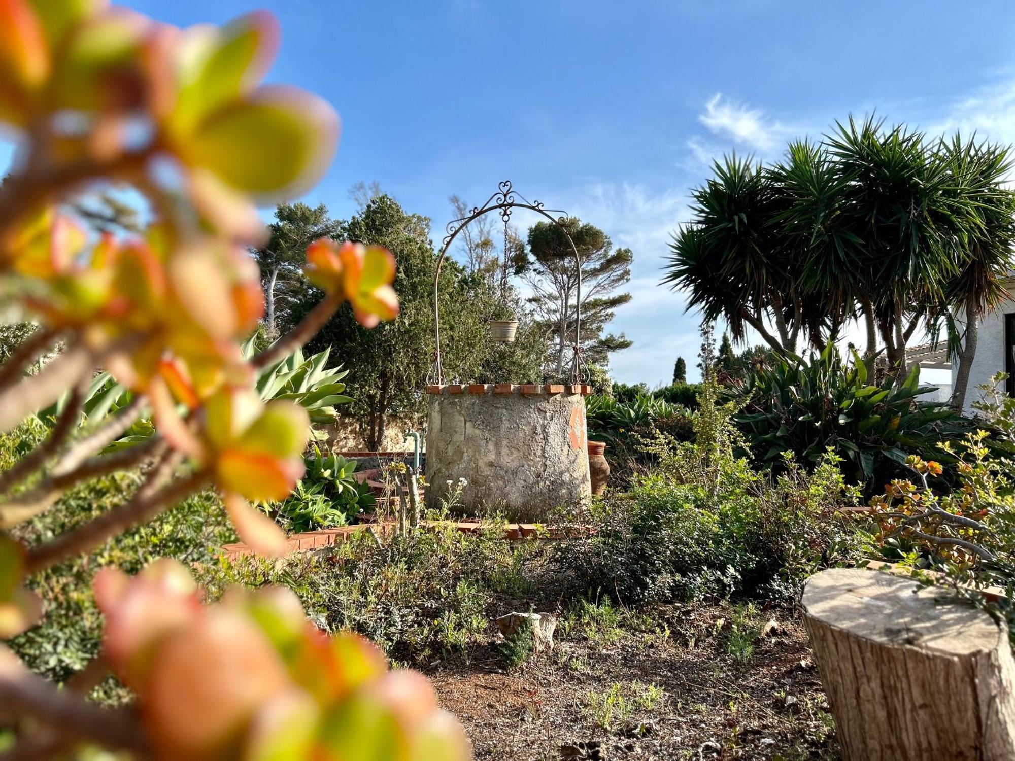 Villa Primavera Favignana Dış mekan fotoğraf